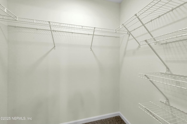 spacious closet featuring carpet flooring
