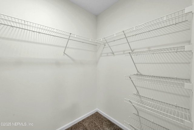 spacious closet with dark colored carpet