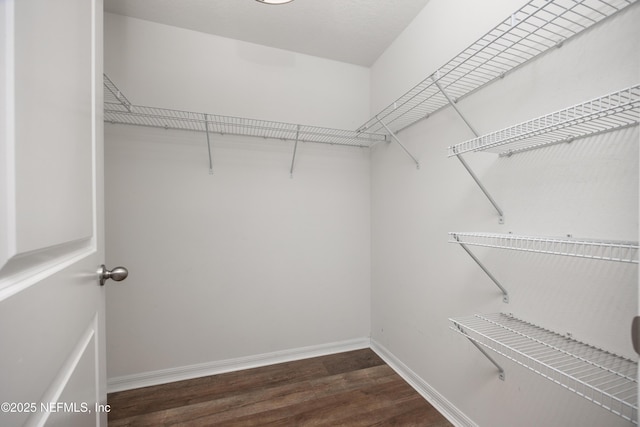 19533 NW 229th St, High Springs, FL 32643 - spacious closet with wood finished floors