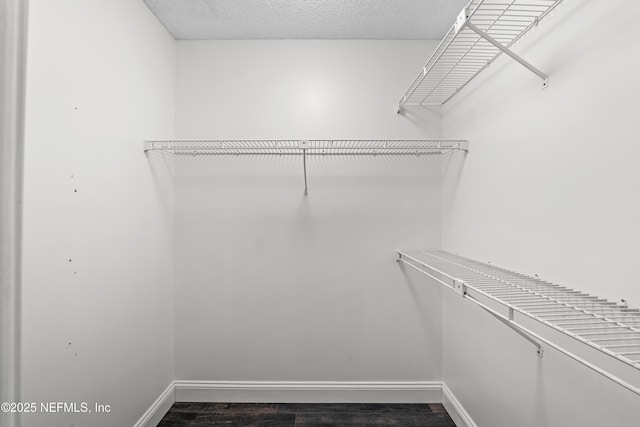 spacious closet with dark wood-type flooring