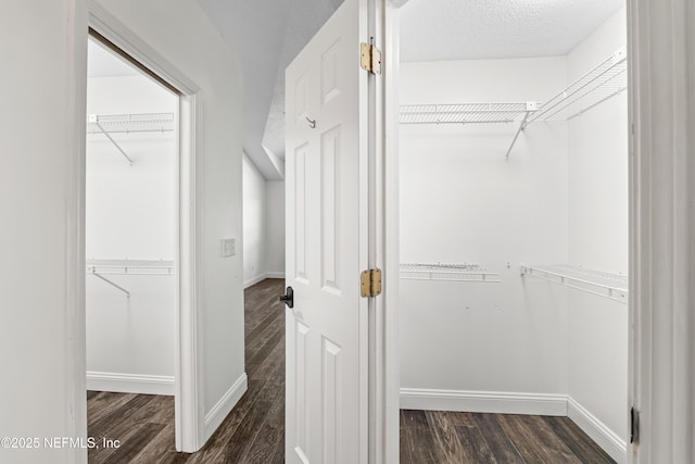 walk in closet with dark wood-type flooring
