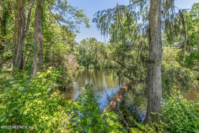 water view featuring a forest view