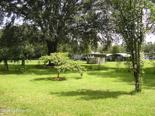 view of yard with a carport