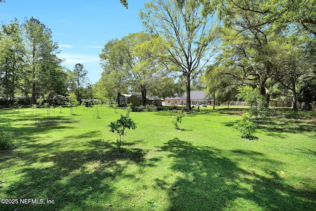 11341 V C Johnson Rd, Jacksonville, FL 32218 - photo 56