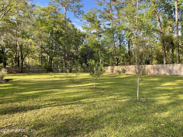 11341 V C Johnson Rd, Jacksonville, FL 32218 - photo 55