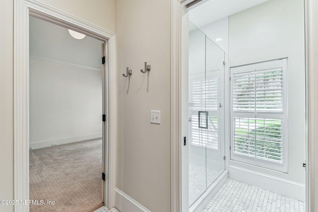 6230 Highlands Ct, Ponte Vedra Beach, FL 32082 - bathroom with a stall shower, plenty of natural light, and baseboards
