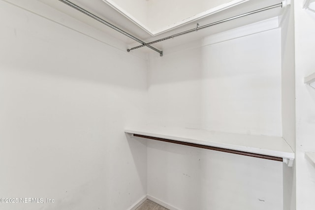 6230 Highlands Ct, Ponte Vedra Beach, FL 32082 - view of walk in closet