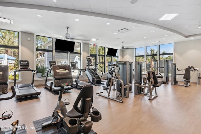 exercise room featuring a wall of windows, a ceiling fan, wood finished floors, and a wealth of natural light