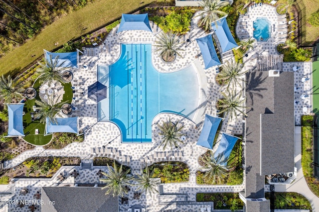 aerial view
