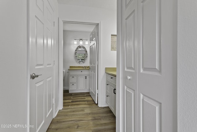 11213 Harbour Vista Cir, Saint Augustine, FL 32080 - bathroom featuring wood finished floors and vanity
