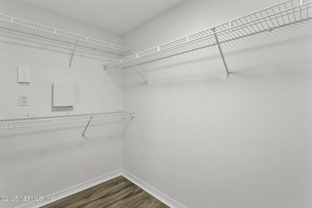 11213 Harbour Vista Cir, Saint Augustine, FL 32080 - walk in closet with dark wood-type flooring