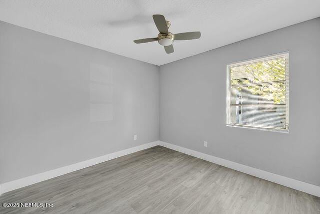 3181 Brasque Dr, Jacksonville, FL 32209 - photo 11