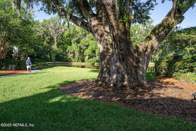 1712 Margarets Walk Rd, Fleming Island, FL 32003 - view of yard