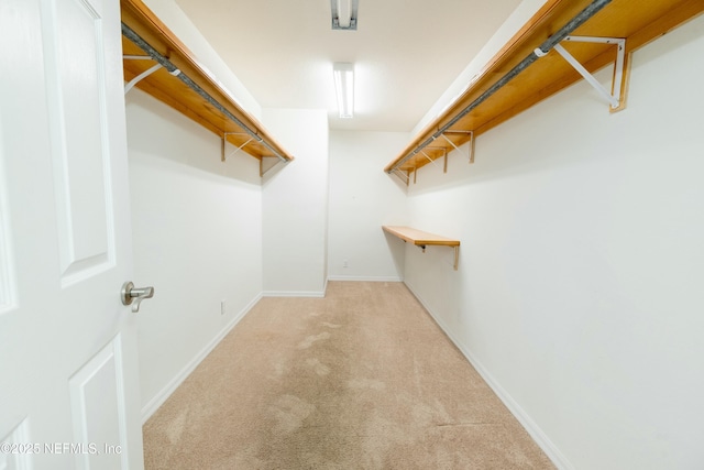 walk in closet with carpet