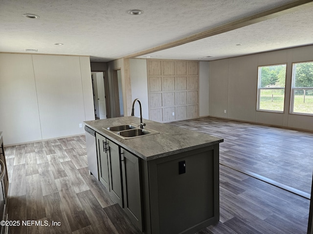 kitchen with a kitchen island with sink, wood finished floors, a sink, and open floor plan