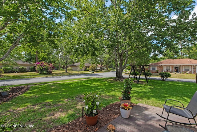 view of yard