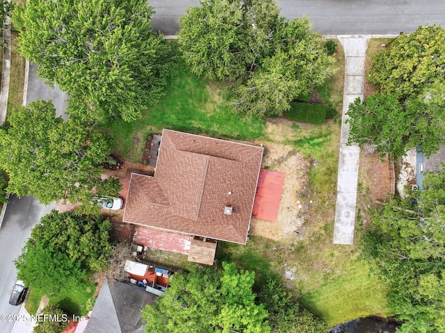 bird's eye view