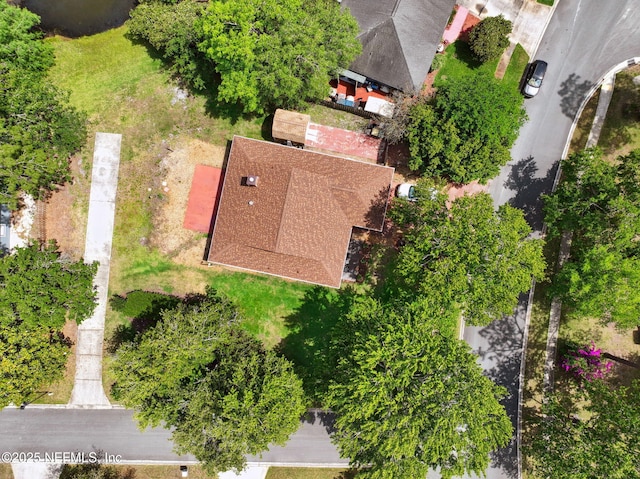 bird's eye view