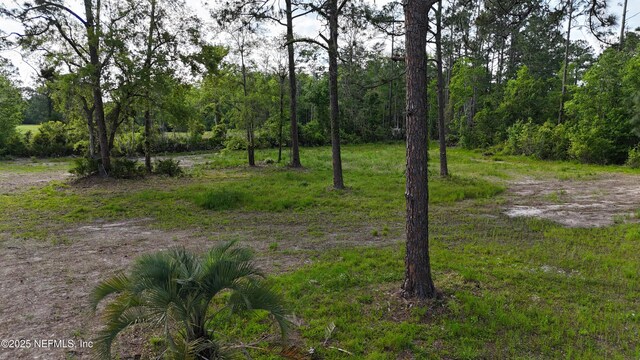 0 Deer Meadow Ln, Jacksonville, FL 32226 - photo 13