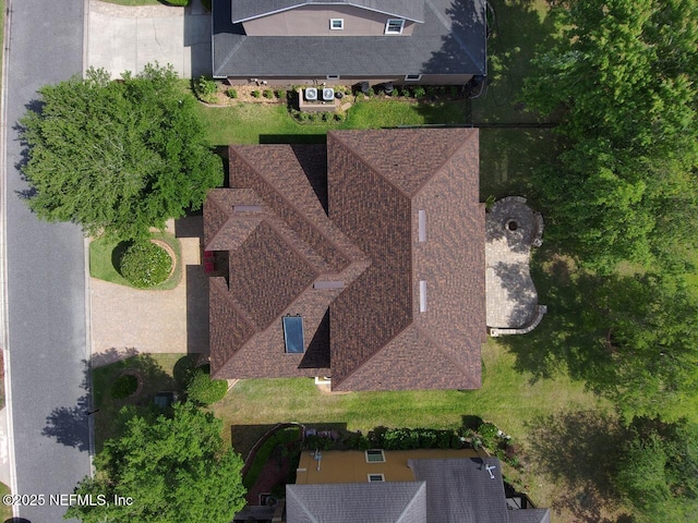 bird's eye view
