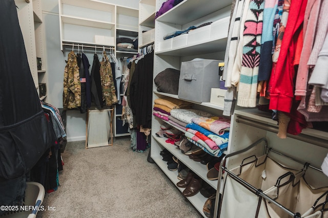 1209 Hammock Dunes Dr, Jacksonville, FL 32221 - spacious closet with carpet flooring