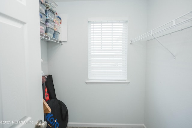 1209 Hammock Dunes Dr, Jacksonville, FL 32221 - view of spacious closet