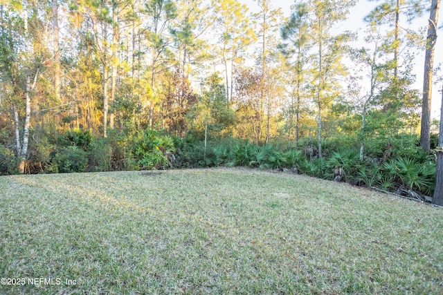 1209 Hammock Dunes Dr, Jacksonville, FL 32221 - view of yard