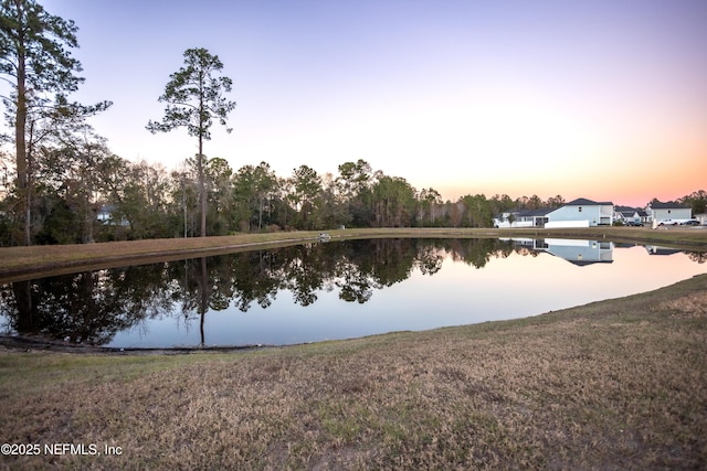 1209 Hammock Dunes Dr, Jacksonville, FL 32221 - view of water feature