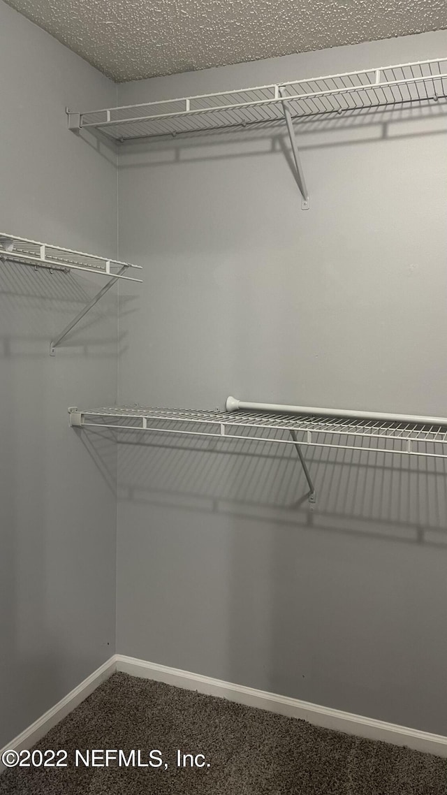 walk in closet with carpet