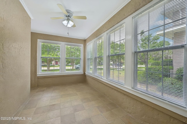 1614 Edgewood Ave S, Jacksonville, FL 32205 - photo 14