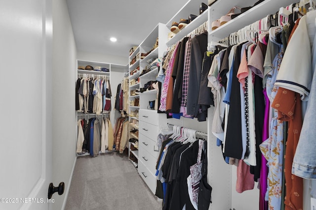 143 Bayard Pl, Jacksonville, FL 32259 - walk in closet featuring carpet