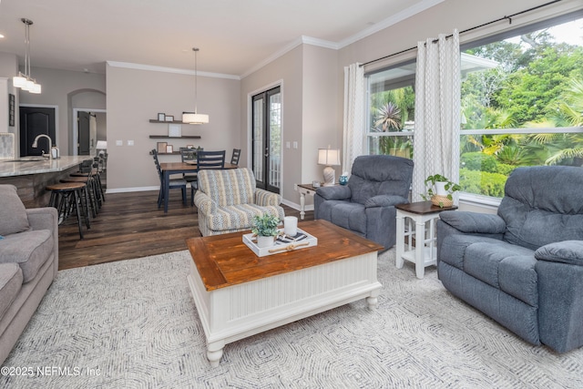 living room featuring baseboards, crown molding, wood finished floors, and plenty of natural light