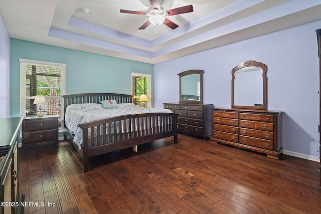 322 Cooper Bay Ct, Saint Augustine, FL 32092 - bedroom featuring multiple windows, a tray ceiling, and dark wood-style floors
