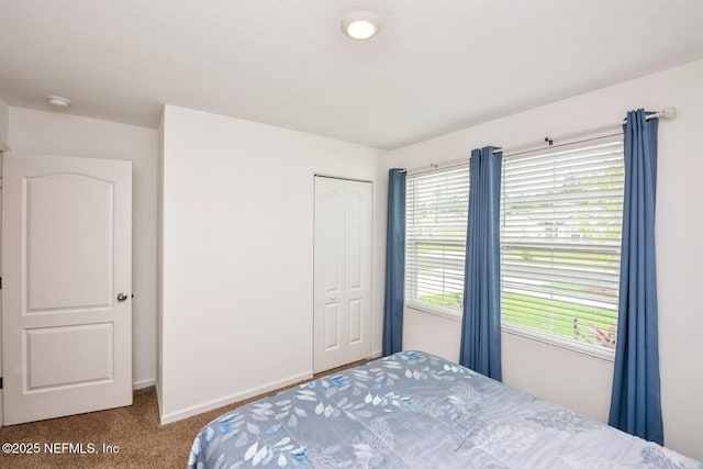 3044 Rustic Deer Way, Green Cove Springs, FL 32043 - carpeted bedroom with baseboards and a closet