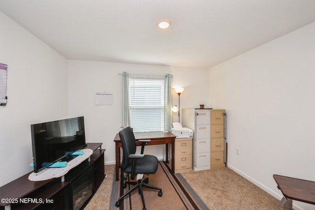 3044 Rustic Deer Way, Green Cove Springs, FL 32043 - office space featuring carpet and baseboards