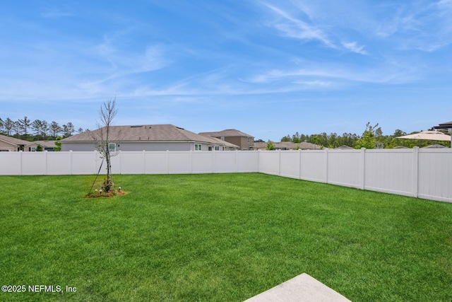 3044 Rustic Deer Way, Green Cove Springs, FL 32043 - view of yard with a fenced backyard