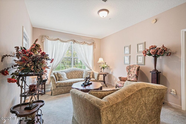 7801 Point Meadows Dr Unit 3209, Jacksonville, FL 32256 - carpeted living room featuring a textured ceiling and baseboards