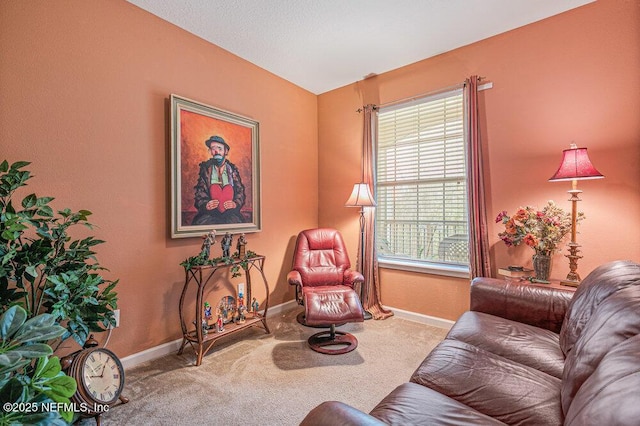 7801 Point Meadows Dr Unit 3209, Jacksonville, FL 32256 - living area with baseboards and carpet floors