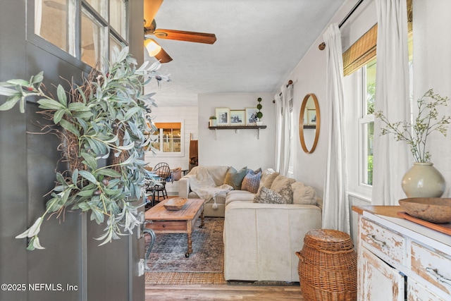 living room featuring a ceiling fan and wood finished floors