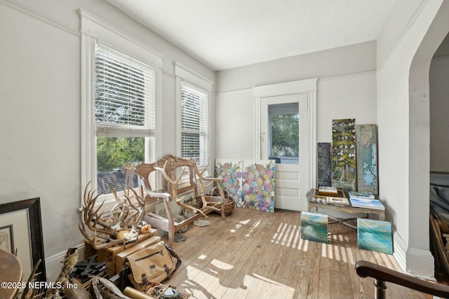 2234 Forbes St, Jacksonville, FL 32204 - sunroom / solarium featuring arched walkways