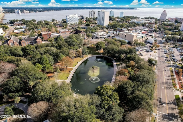 2234 Forbes St, Jacksonville, FL 32204 - bird's eye view with a water view