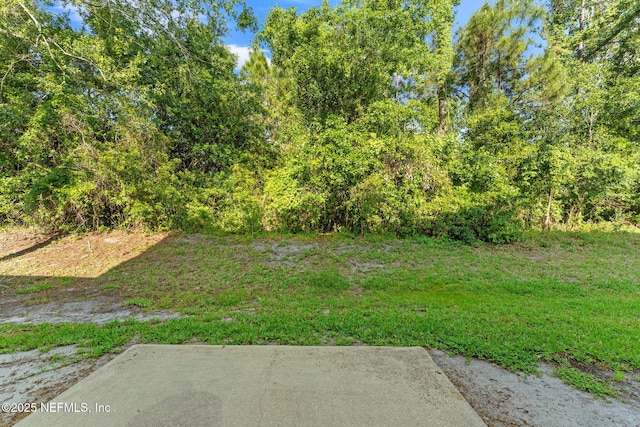 1605 Vineland Cir Unit B, Fleming Island, FL 32003 - view of yard featuring a patio
