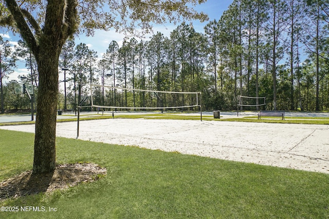 1605 Vineland Cir Unit B, Fleming Island, FL 32003 - view of property's community with a yard and volleyball court
