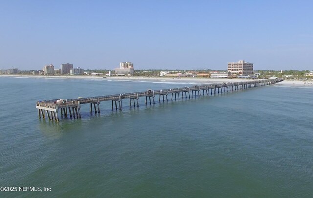 7142 Mahogany Run Dr, Jacksonville, FL 32244 - dock area with a water view