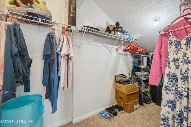 8634 Greatpine Ln W, Jacksonville, FL 32244 - walk in closet with carpet floors
