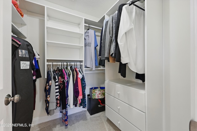 view of walk in closet