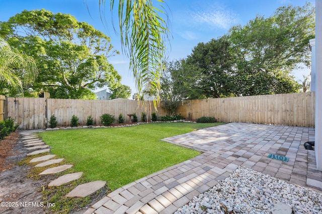view of yard with a fenced backyard and a patio area