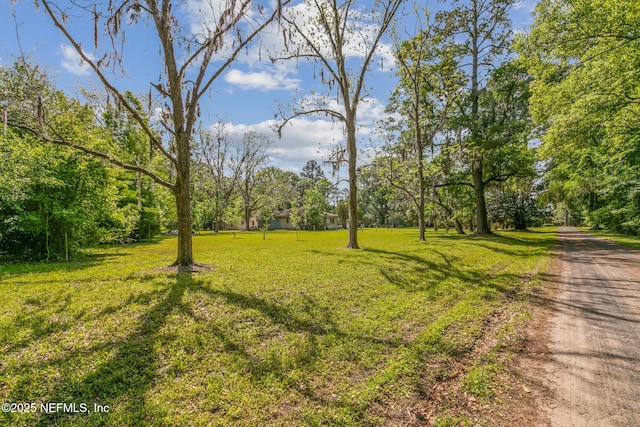 45121 Stratton Rd, Callahan, FL 32011 - view of yard