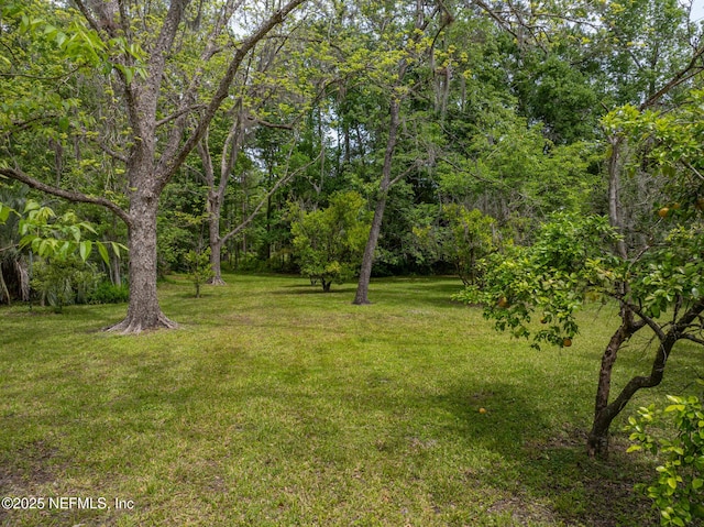 45121 Stratton Rd, Callahan, FL 32011 - view of yard