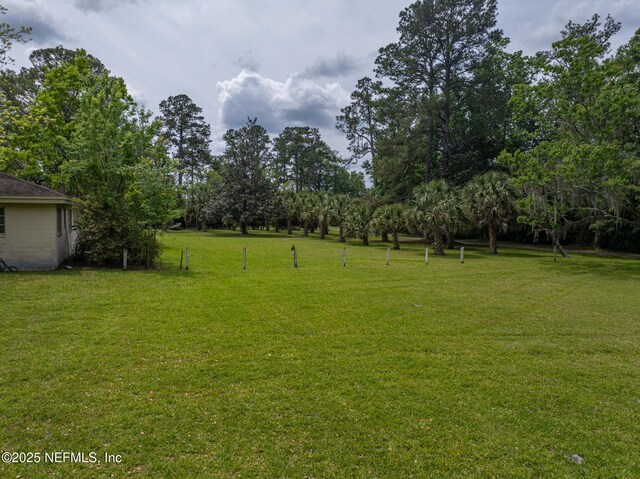 45121 Stratton Rd, Callahan, FL 32011 - view of yard